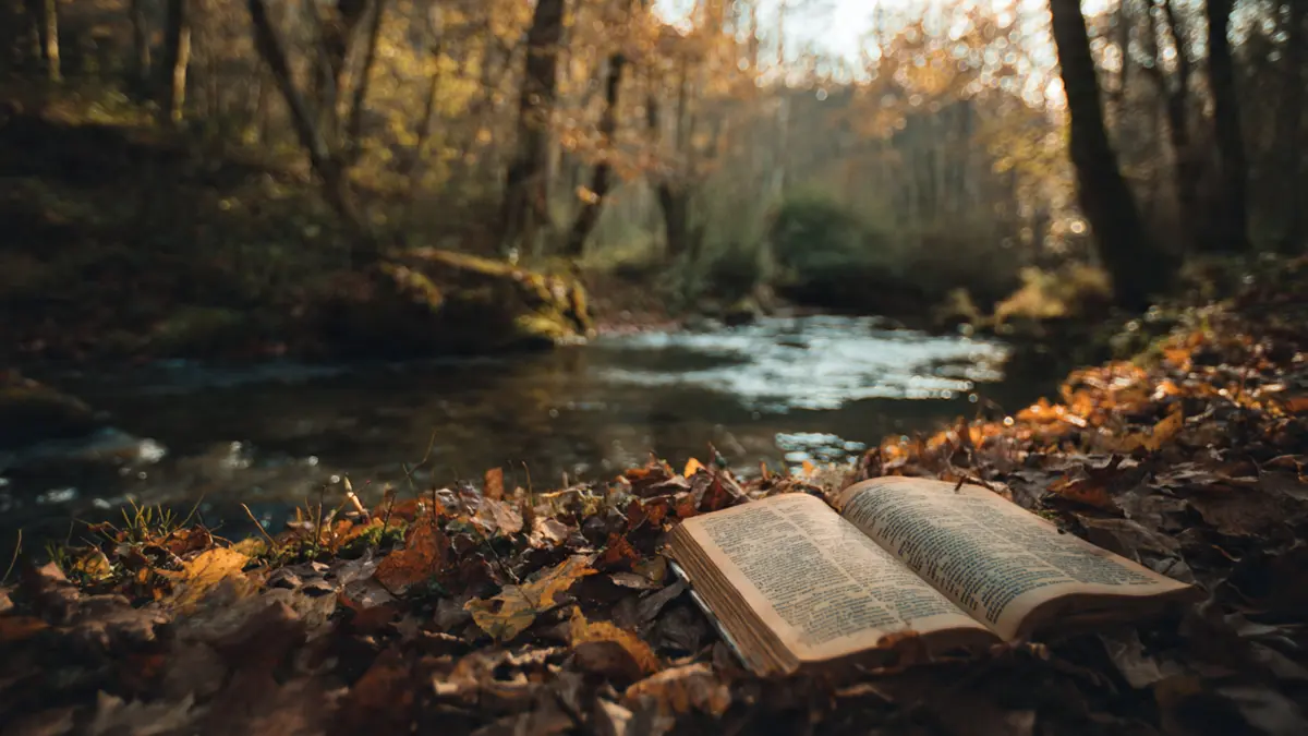 An open economics textbook resting on fallen autumn leaves beside a quiet stream